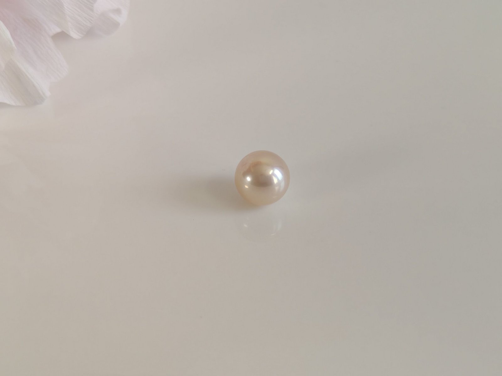 Perle de culture d'eau douce, blanche , ronde, 11. 7mm x 1pc - - Image 3
